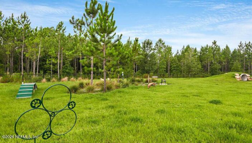 Natural landscape and outdoor views near  in St. Augustine (Image 61).