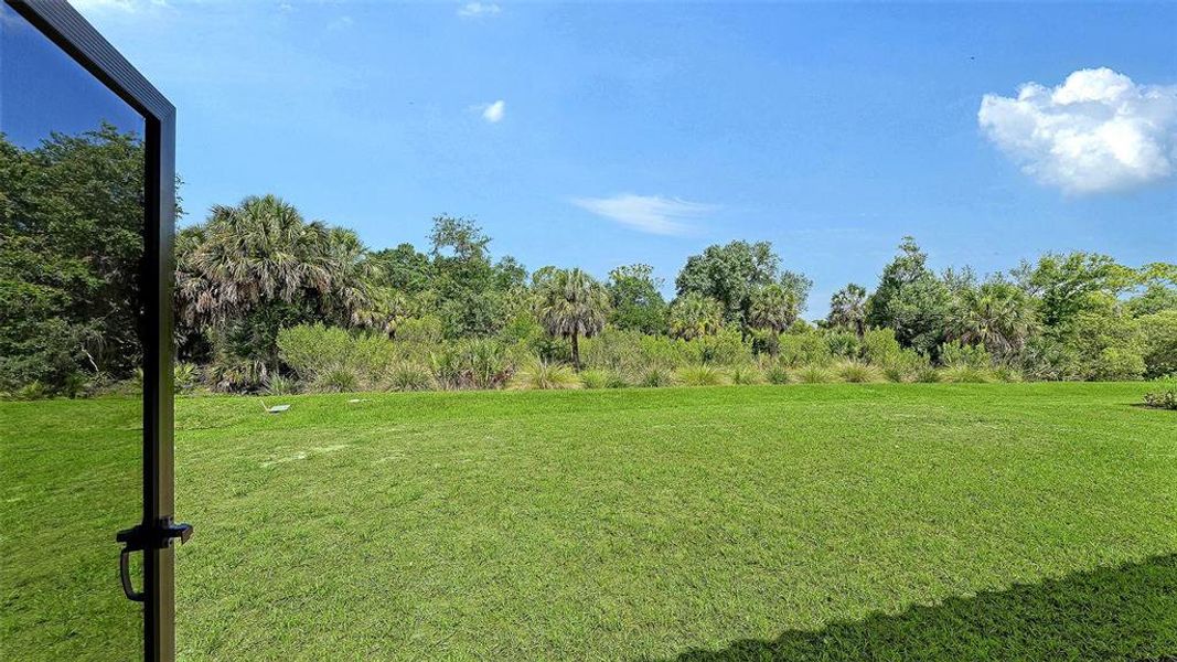 Natural landscape and outdoor views near Grand Park in Sarasota (Image 47).