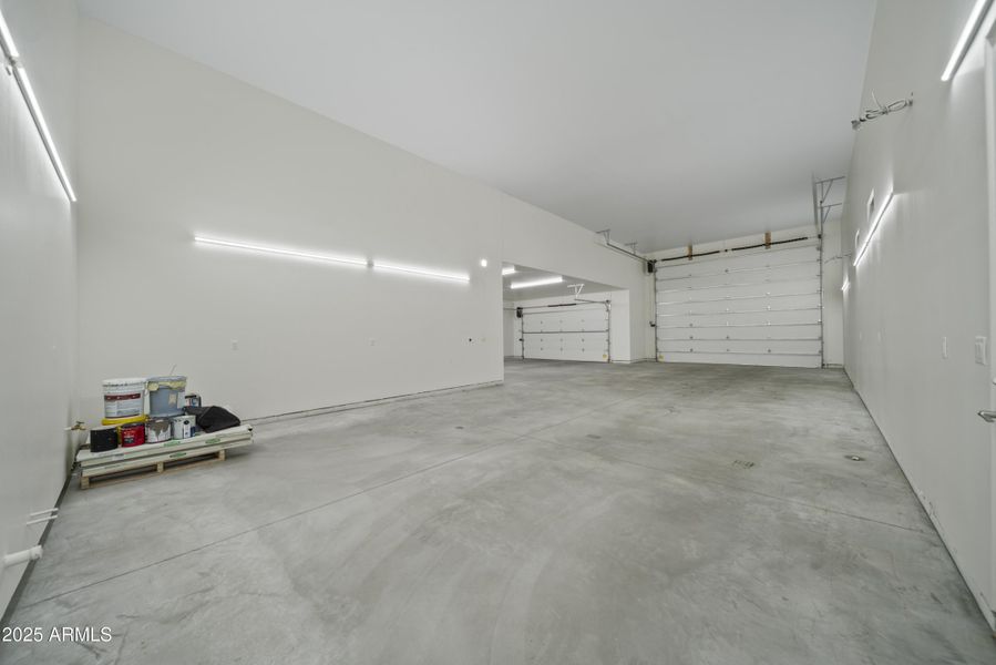 Lupine Ln Reshoot 00011