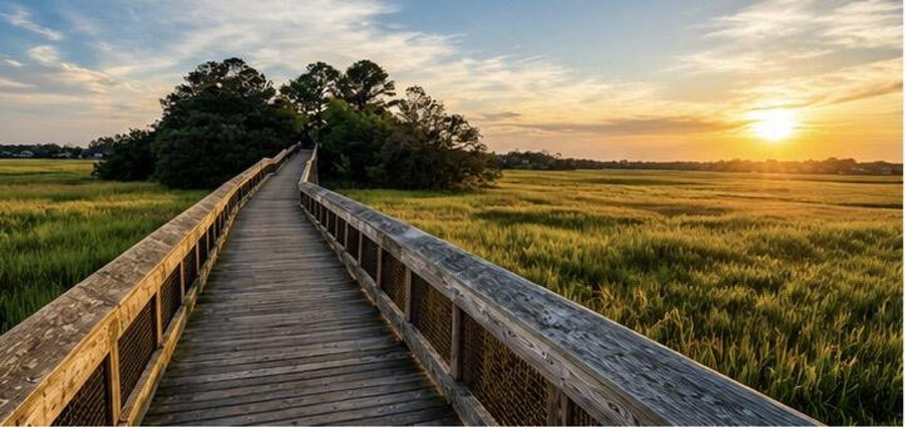 Natural landscape and outdoor views near  in Charleston (Image 38).