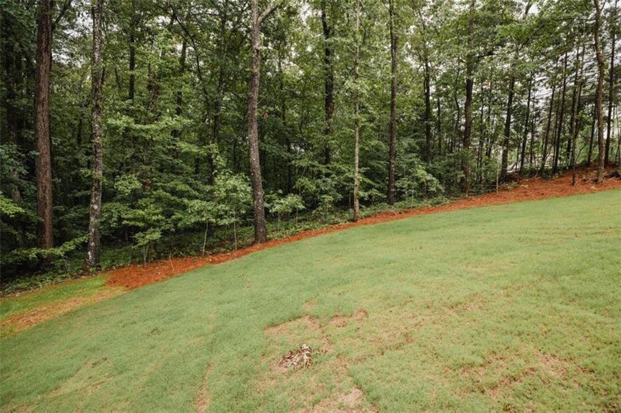 Natural landscape and outdoor views near in Douglasville (Image 92). Natural landscape and outdoor views near in Douglasville (Image 92).