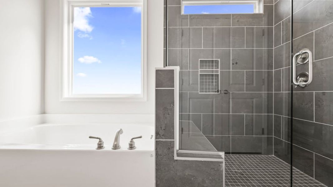 Representative interior finishes for a home built from the Crestone by D.R. Horton in Blue Ridge Trail, Fountain Inn (Image 13).