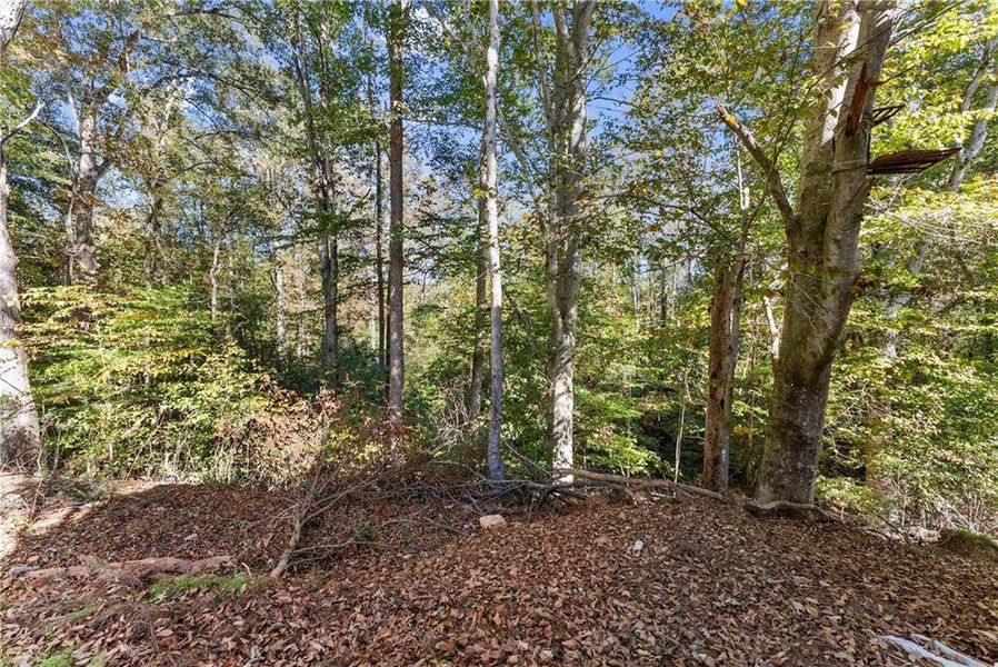 Natural landscape and outdoor views near Magnolia Villas in Cornelia (Image 38).