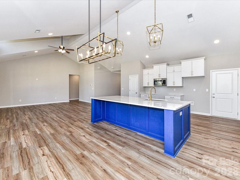 photo representation only