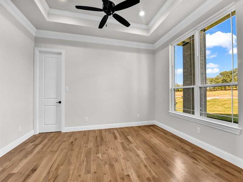 Empty room with crown molding, light wood-type flooring, and a healthy amount of sunlight