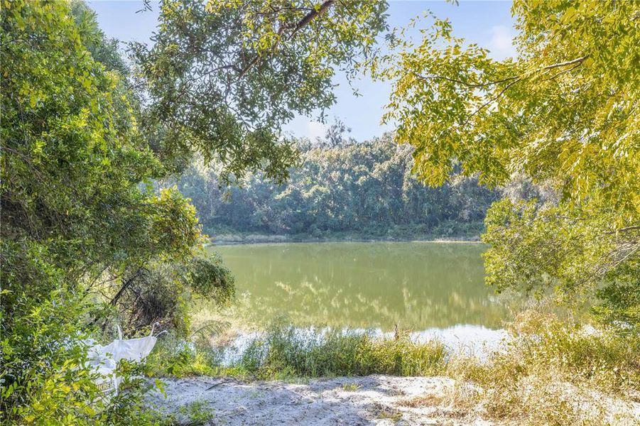 Natural landscape and outdoor views near in Deland (Image 43). Natural landscape and outdoor views near in Deland (Image 43).