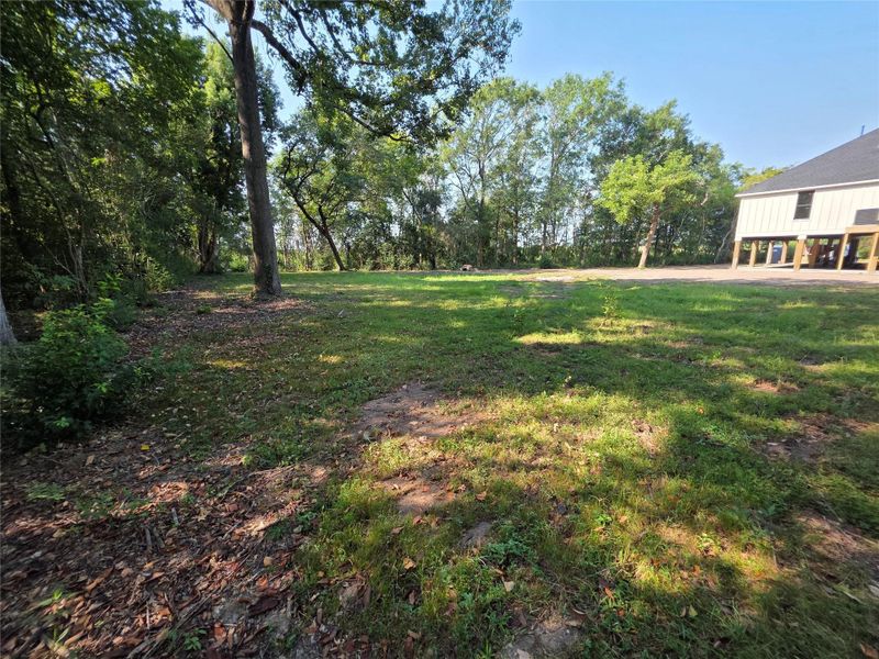 Natural landscape and outdoor views near  in Bridge City (Image 39).