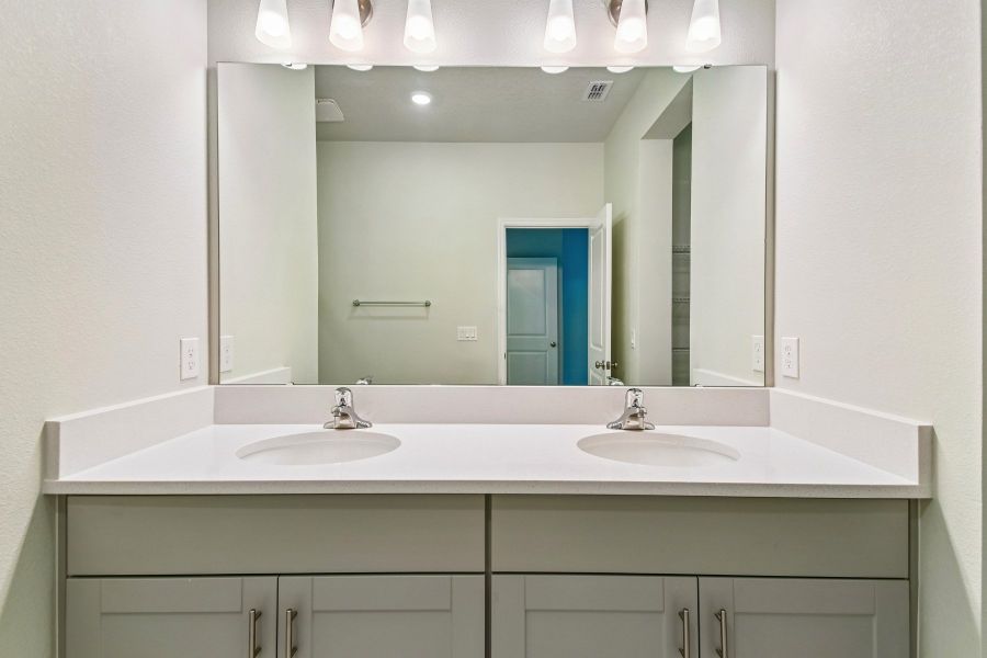 Owner's Bath