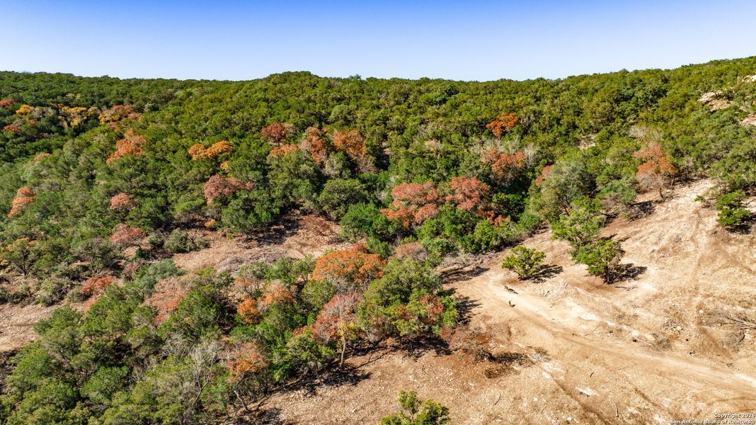 Natural landscape and outdoor views near  in Bandera (Image 29).