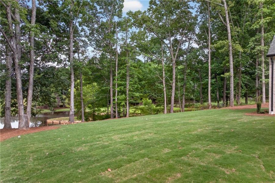 Natural landscape and outdoor views near  in Lawrenceville (Image 70).
