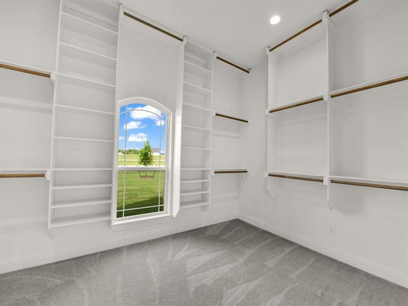 Walk in closet with carpet Walk in closet with carpet
