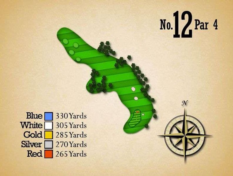 2D floor plan layout of this home in , Flowery Branch, GA (Image 13).