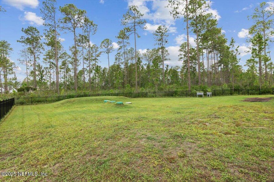 Natural landscape and outdoor views near  in Hilliard (Image 23).