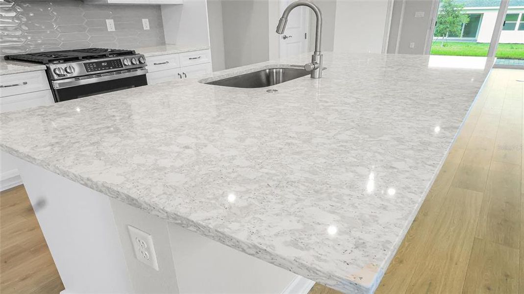 Close-up of interior finishes inside a home in Cresswind at Hammock Oaks, Lady Lake (Image 24).