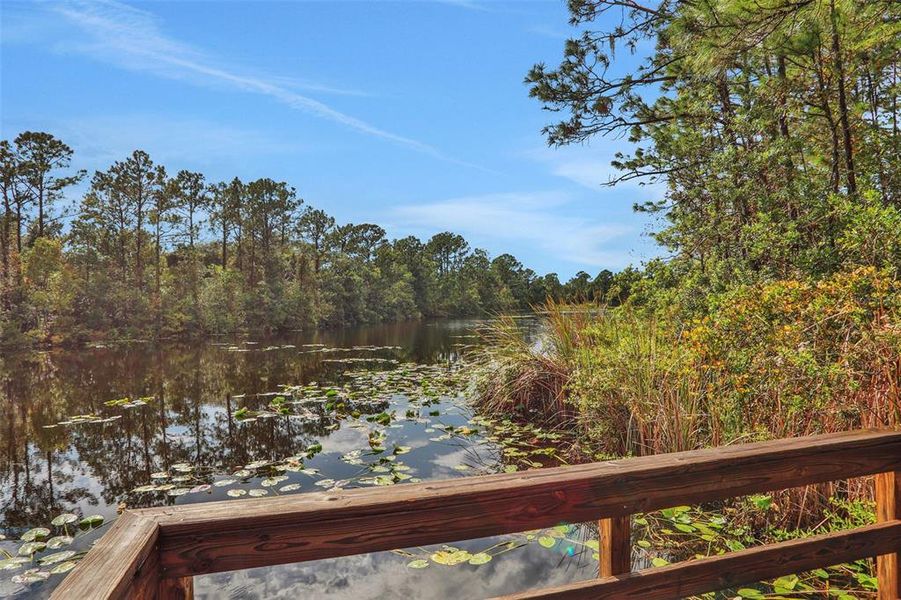 Natural landscape and outdoor views near in Palm Coast (Image 33). Natural landscape and outdoor views near in Palm Coast (Image 33).