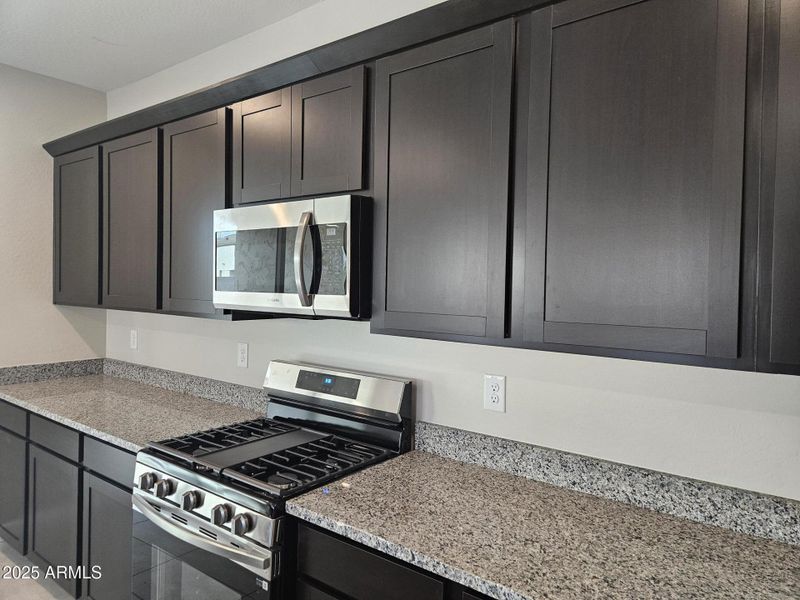 Citrus Park Lot 238 Kitchen Detail Citrus Park Lot 238 Kitchen Detail