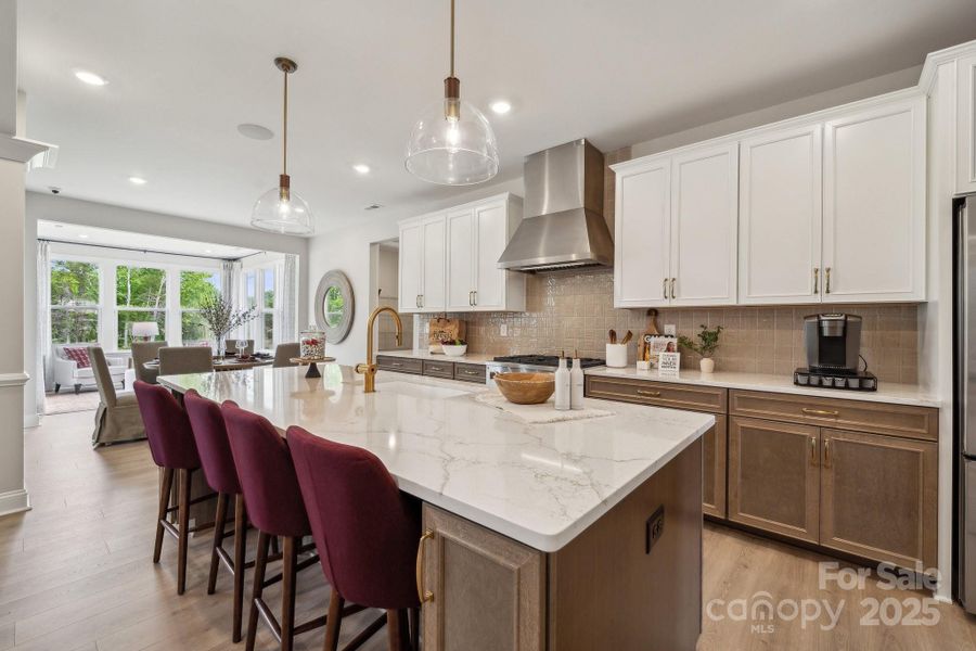 REPRESENTATIVE PHOTO