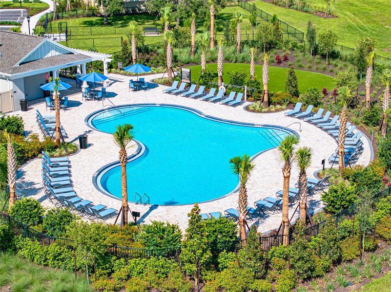 Community amenities in Palm Wind, Hudson (Image 24).