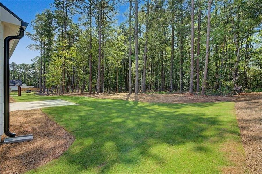 Natural landscape and outdoor views near in Dallas (Image 35). Natural landscape and outdoor views near in Dallas (Image 35).