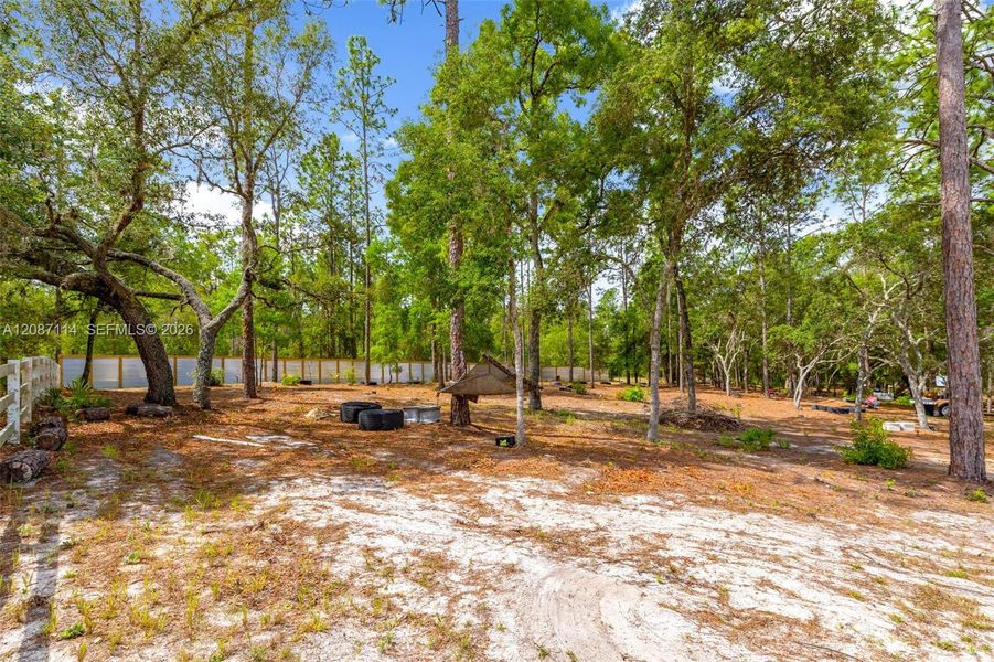 Natural landscape and outdoor views near  in Ocala (Image 42).
