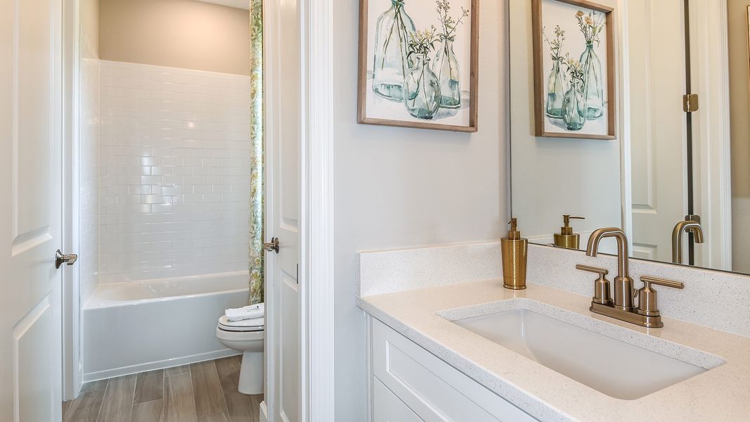 Image 33 of a home in Ardisia Park.