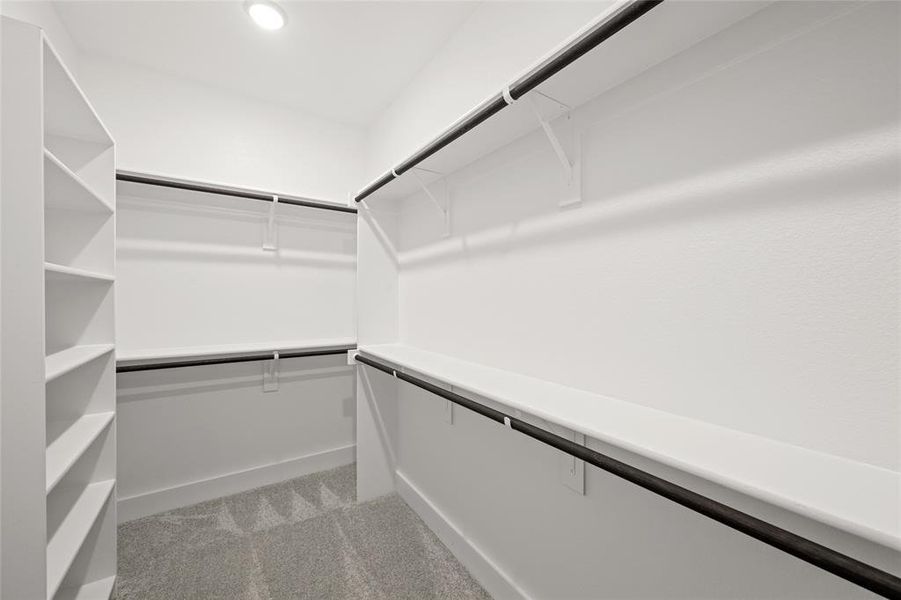 1850 Silver Birch- Primary SUite-6