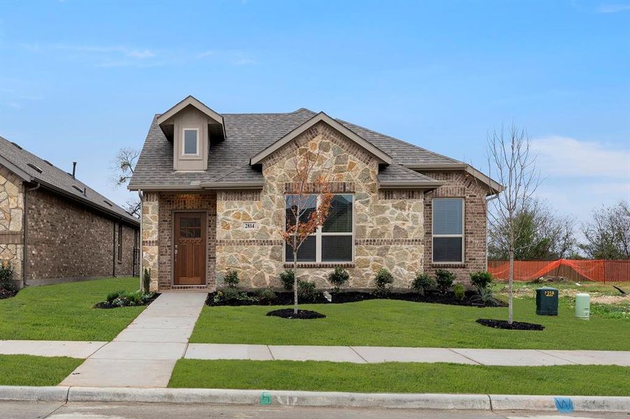 02. 2814 Livestock - Front 02. 2814 Livestock - Front