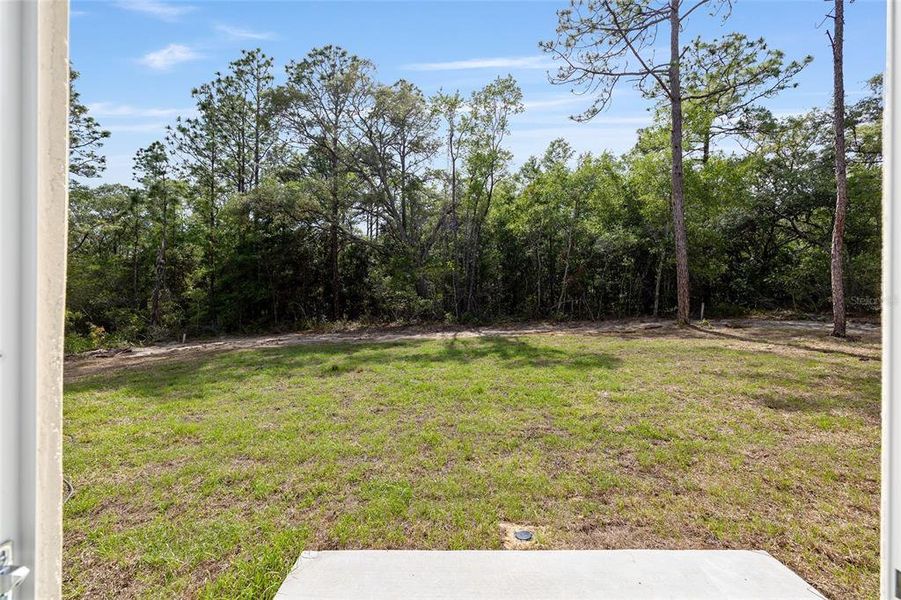 Natural landscape and outdoor views near  in Citrus Springs (Image 19).