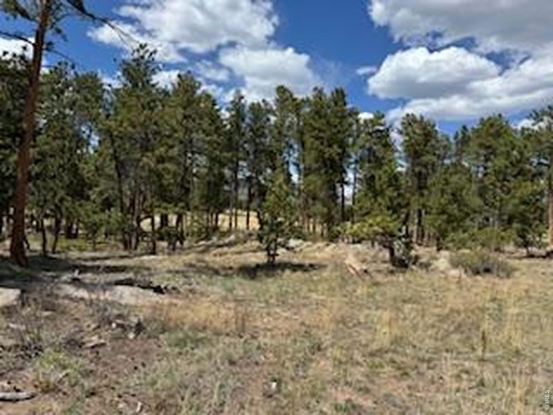 Natural landscape and outdoor views near  in Red Feather Lakes (Image 19).