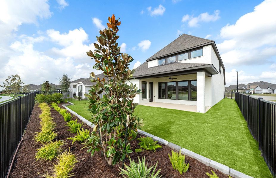 **Representative photo**