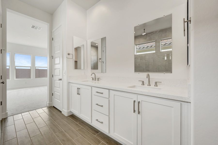 Owner's Bath