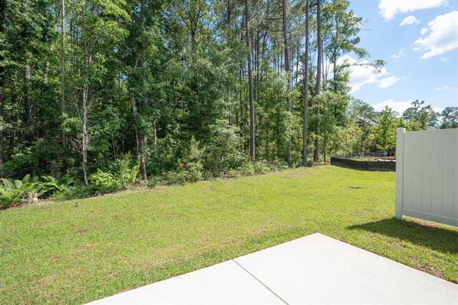 Natural landscape and outdoor views near Crescent Cove in Summerville (Image 15).
