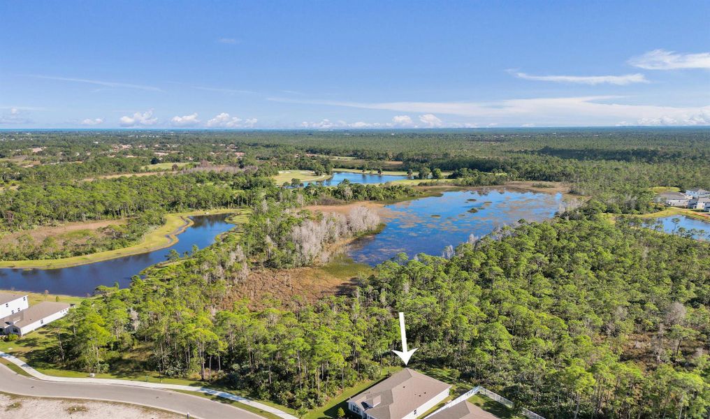 Natural landscape and outdoor views near Preserves at Park Trace in Stuart (Image 36).
