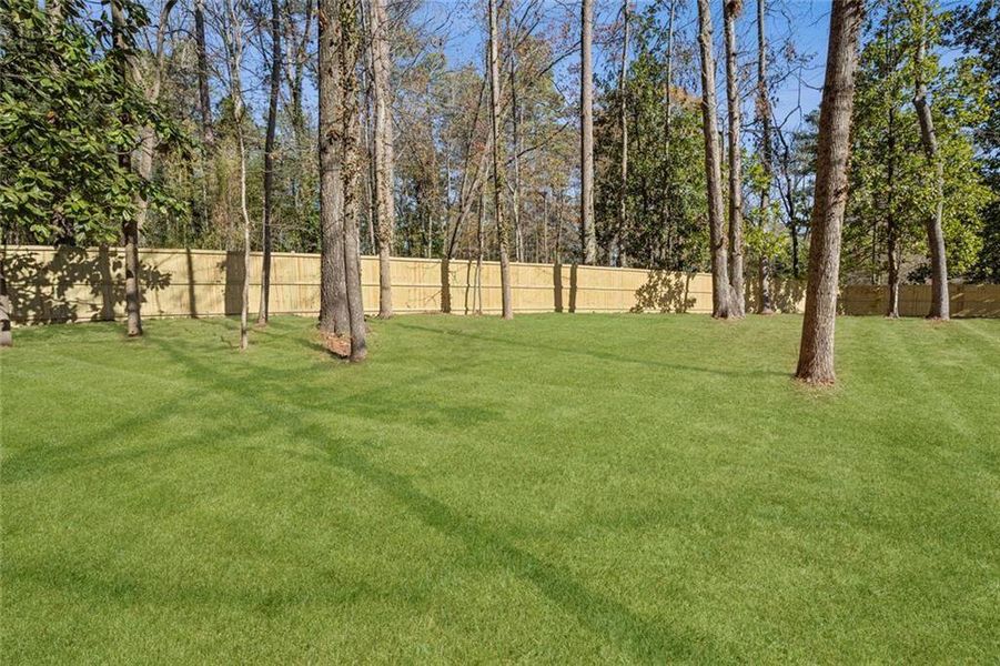 Natural landscape and outdoor views near  in Brookhaven (Image 32).