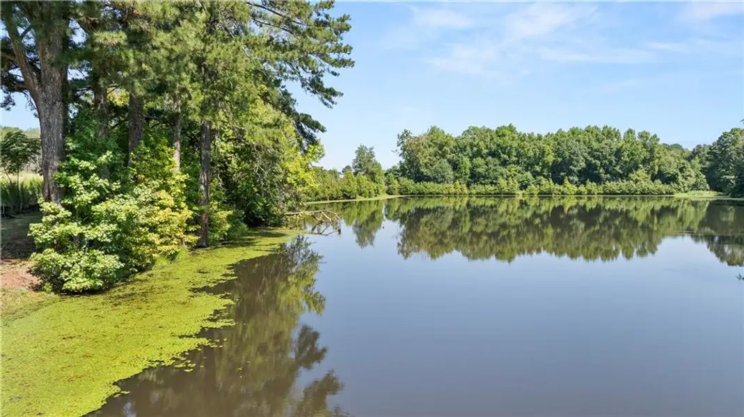 Natural landscape and outdoor views near Lake Shore in Winder (Image 34). Natural landscape and outdoor views near Lake Shore in Winder (Image 34).