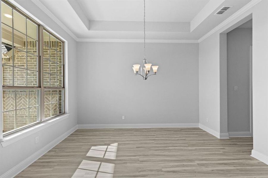 DAL_Myrtle Creek_Natalia_265 Basketflower (5)