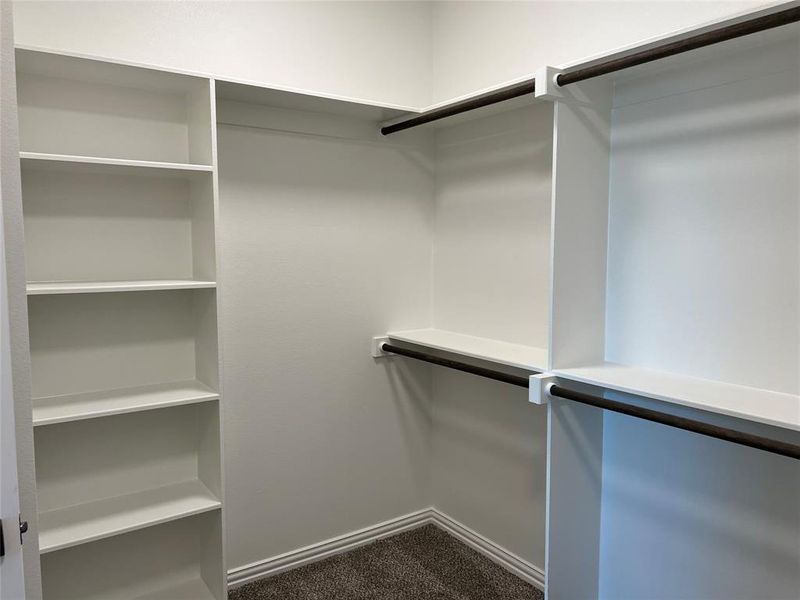 Spacious closet featuring carpet flooring