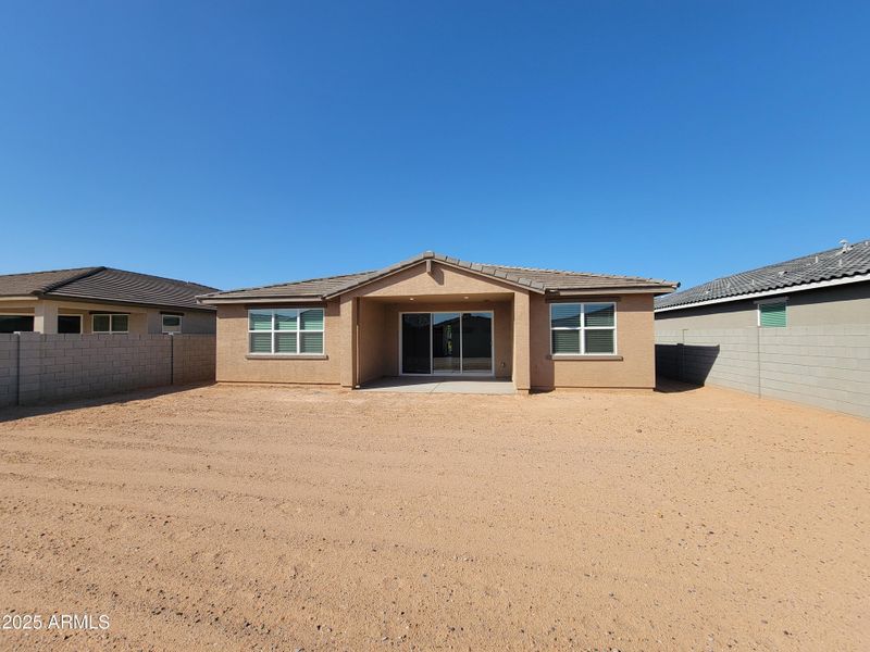 1000041513 1000041513