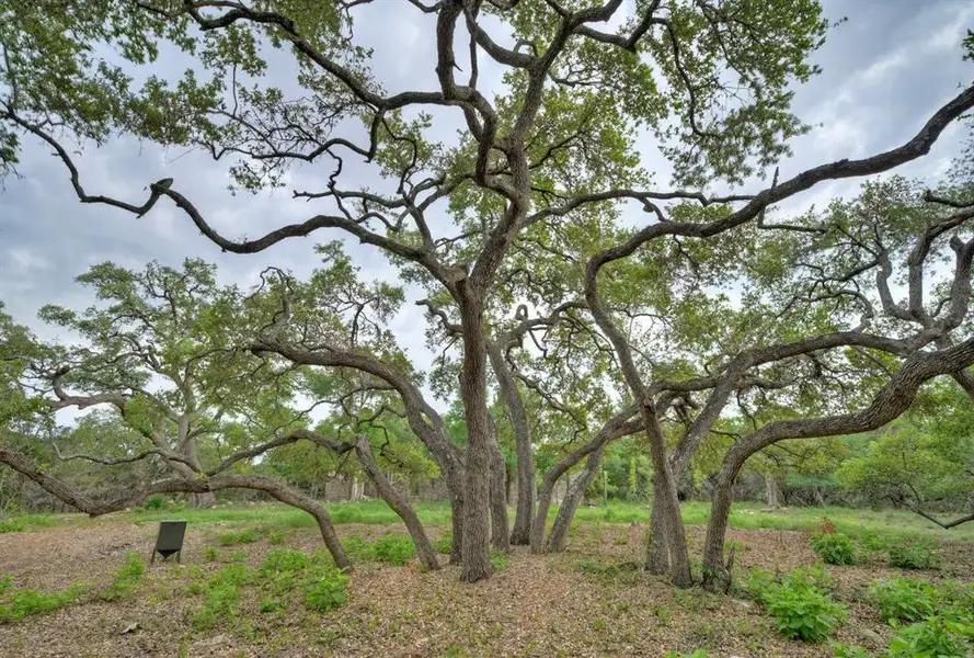 Natural landscape and outdoor views near in Austin (Image 1). Natural landscape and outdoor views near in Austin (Image 1).