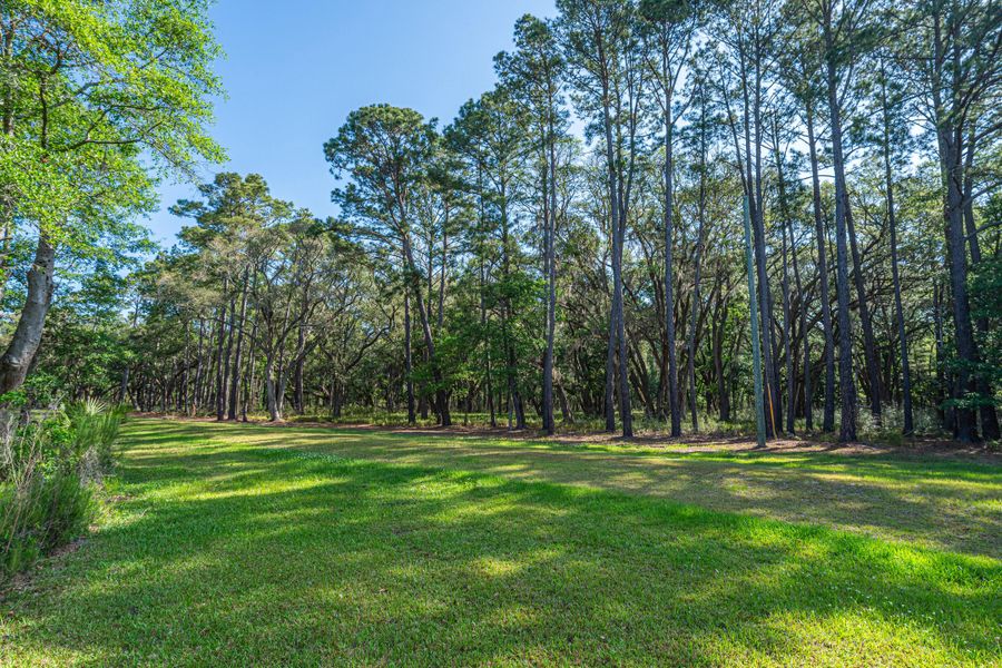 Natural landscape and outdoor views near  in Edisto Island (Image 70).