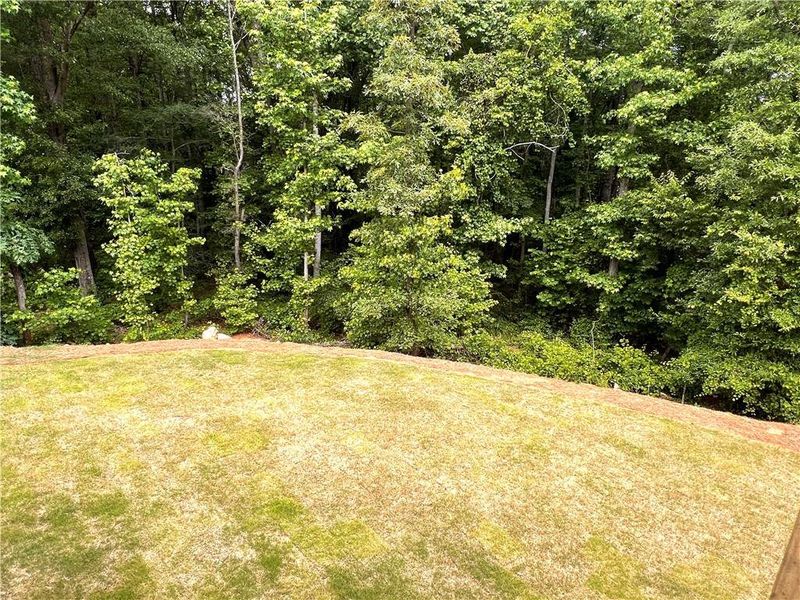 Natural landscape and outdoor views near  in Jefferson (Image 63).