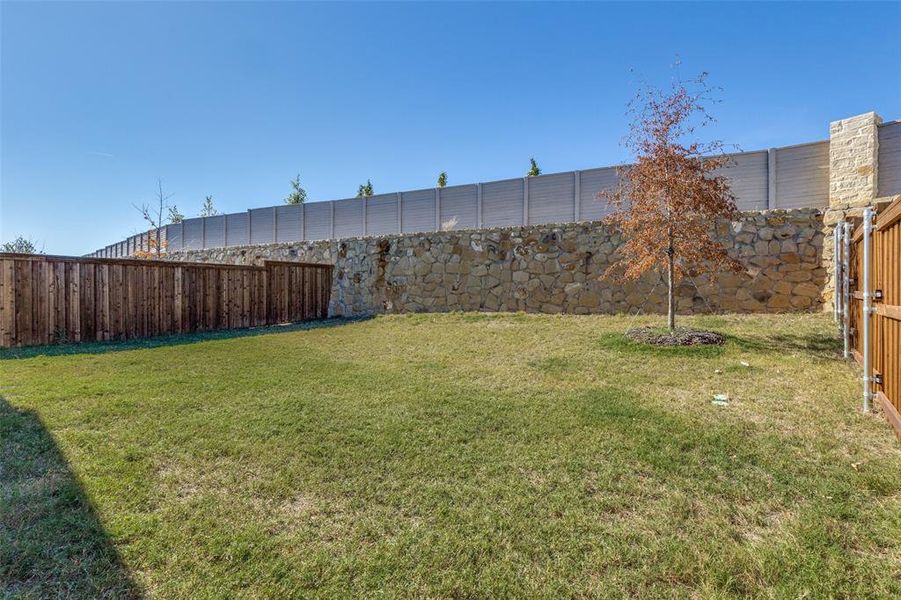 View of fenced backyard