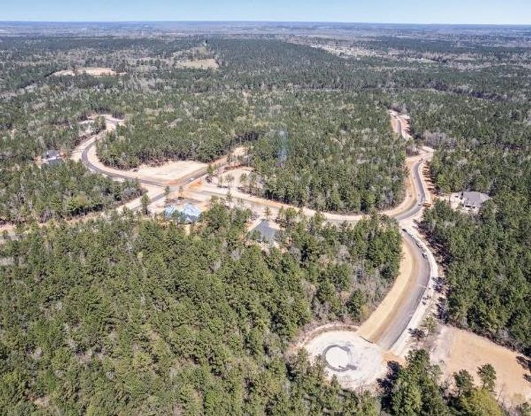 Aerial view of neighborhood