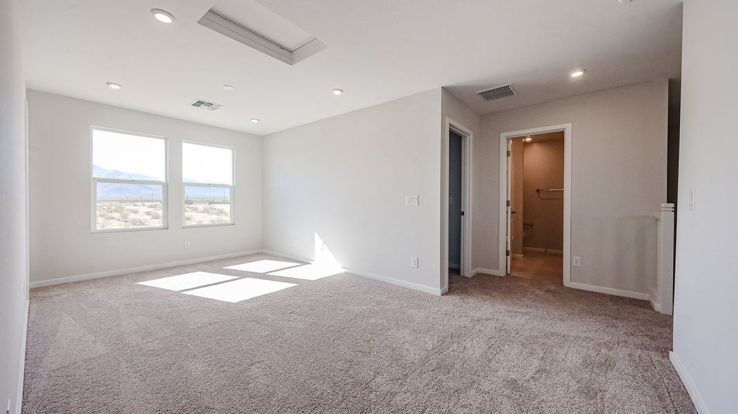 A room with a carpet and windows.