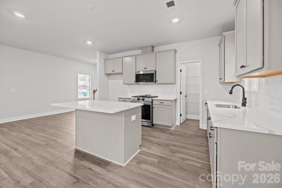 Kitchen with walk in pantry and gas stove