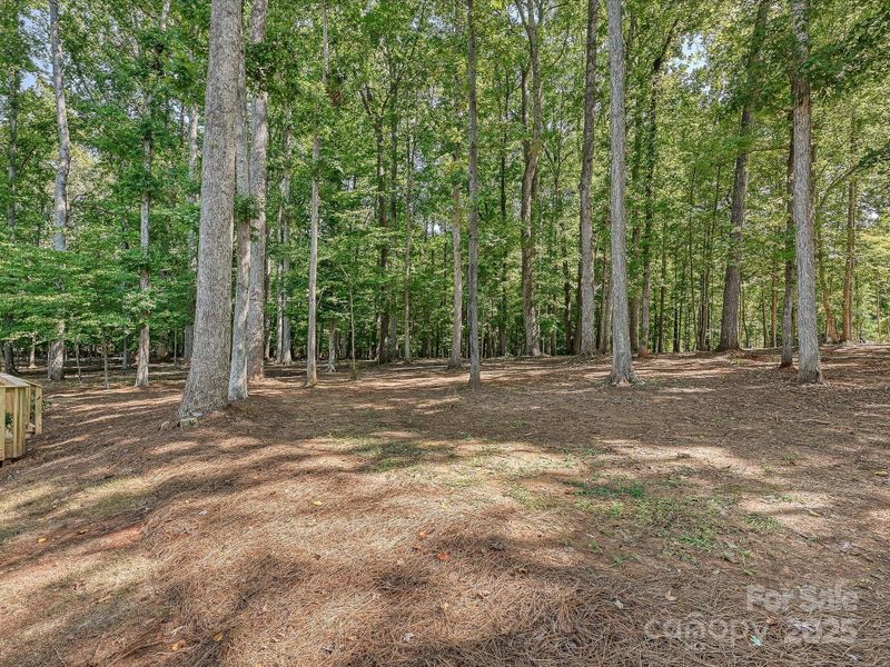 Peaceful BackYard Acerage Peaceful BackYard Acerage