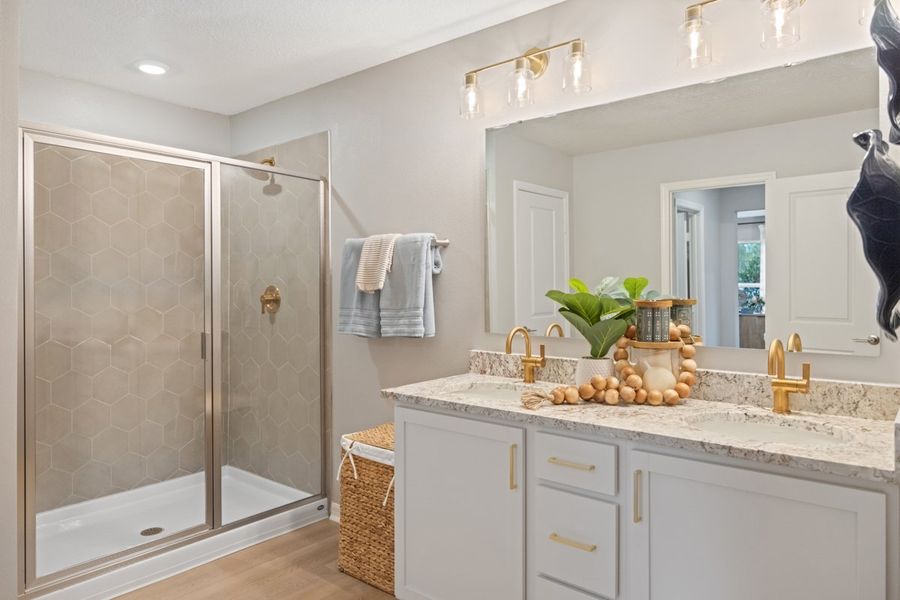 Walk-in shower at primary bath