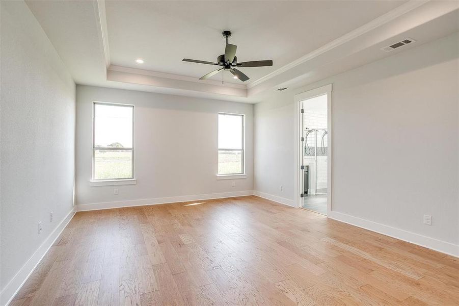 Spare room featuring a healthy amount of sunlight, a raised ceiling, and light wood-type flooring