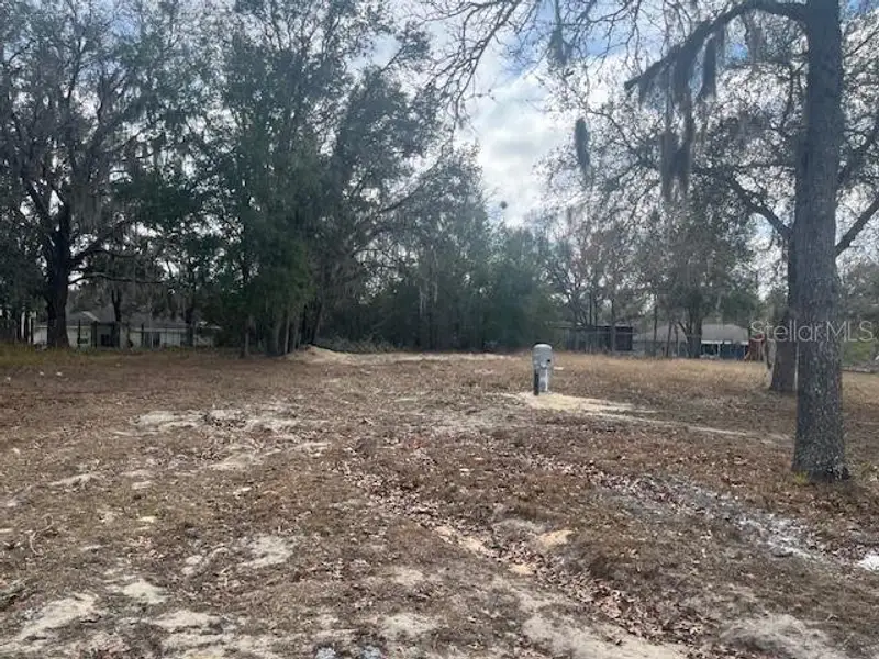Site preparation for new homesites in , Belleview (Image 4). Site preparation for new homesites in , Belleview (Image 4).