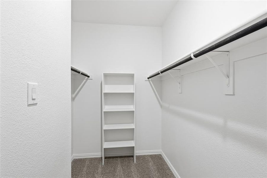 Walk in closet with dark colored carpet